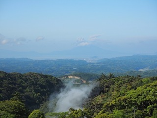 P5021240.jpg